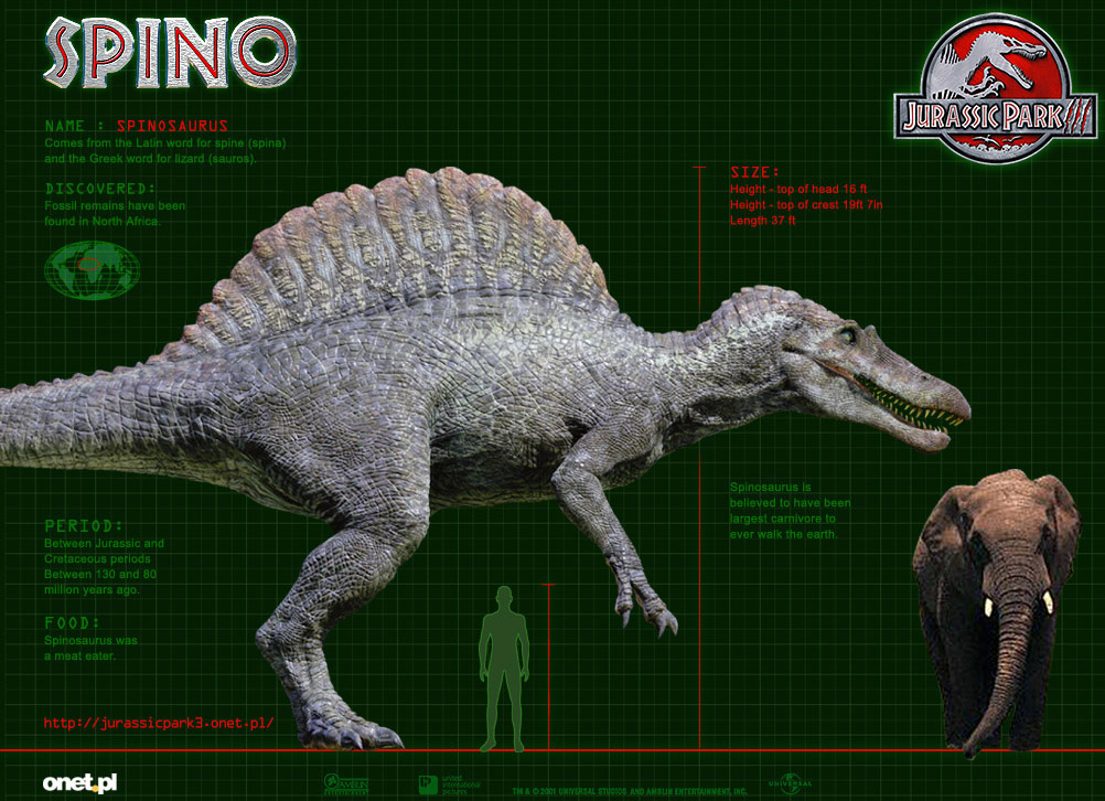 how_spinosaurus_sail_should_have_looked_by_miyess-d5h5kv0.jpg