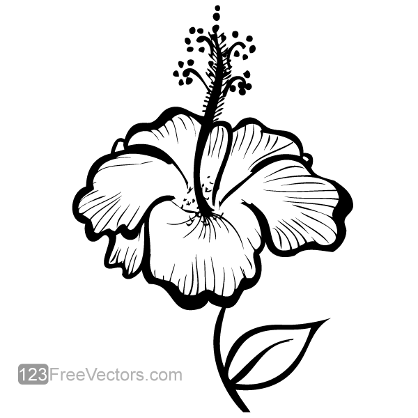 flower clipart black and white vector free download - photo #35