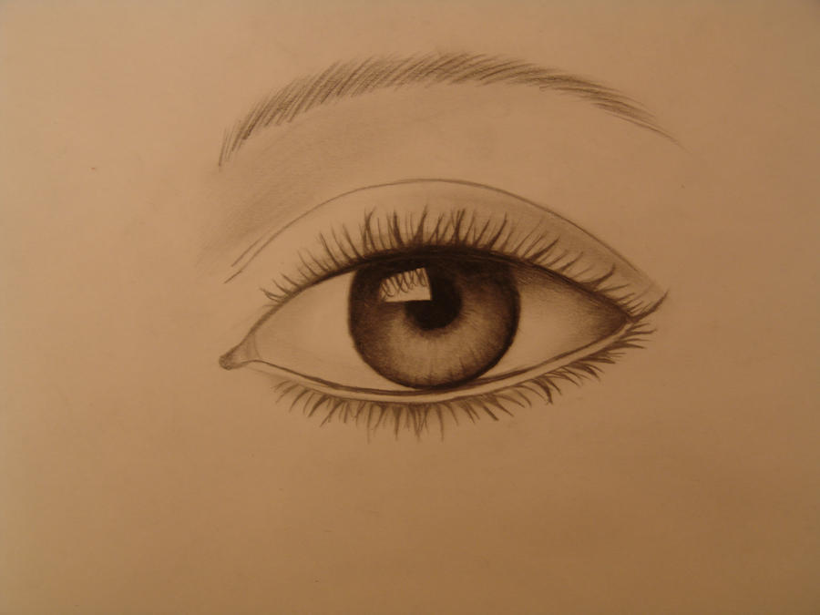 Simple How To Draw Eyes Sketch with Pencil