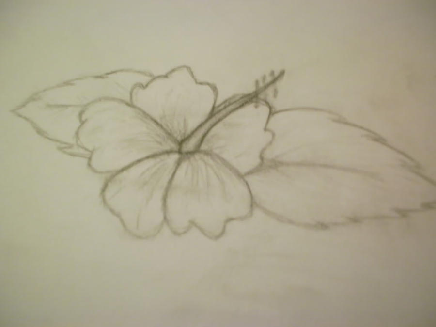 Hawaiian Flower by HybridsTheory on deviantART hawaiian flower drawing