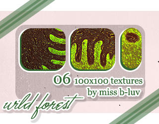 http://fc06.deviantart.net/fs71/i/2010/178/c/1/Wild_forest___Icon_textures_by_missb_luv.jpg