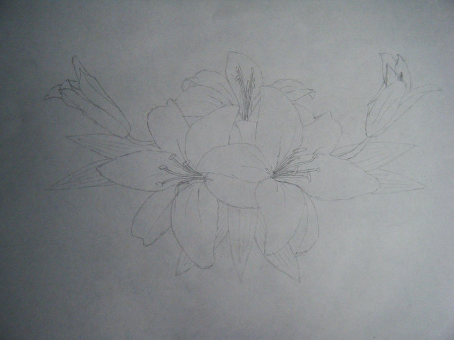 lily tattoo sketch | Flower Tattoo