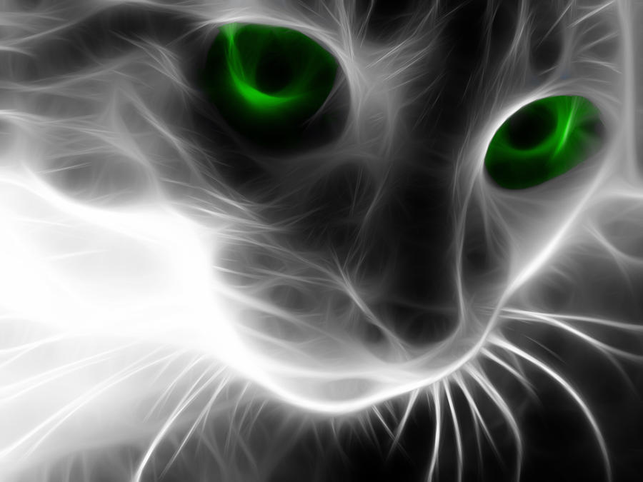 neon_cat_by_crimsonkiwi-d3gmaui.jpg