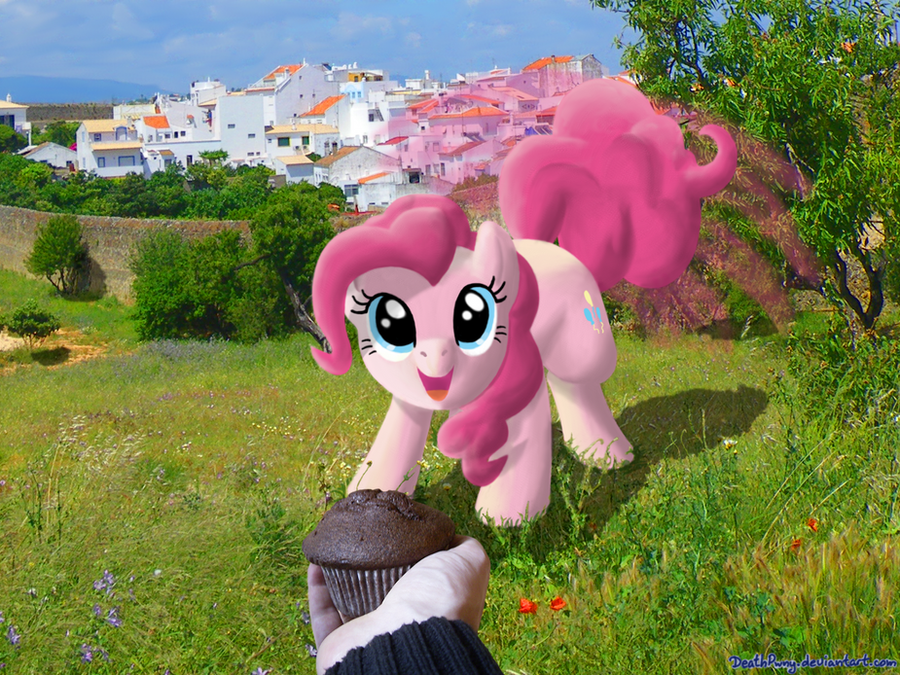 meet_pinkie__feed_her_a_muffin_by_deathpwny-d4al43g.png
