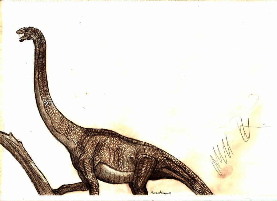 Mamenchisaurus constructus by Teratophoneus