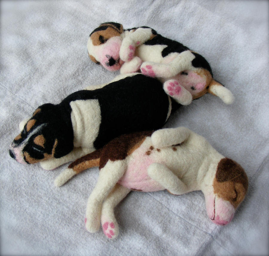 Get beagle best puppy names for girls