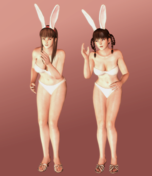 hitomi_and_leifang___cheeky_bunnies___01_by_hentaiahegaolover-d5qlwnk.png