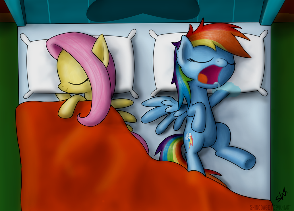 [Bild: fluttershy_and_dashie_by_shinodage-d64hi32.png]