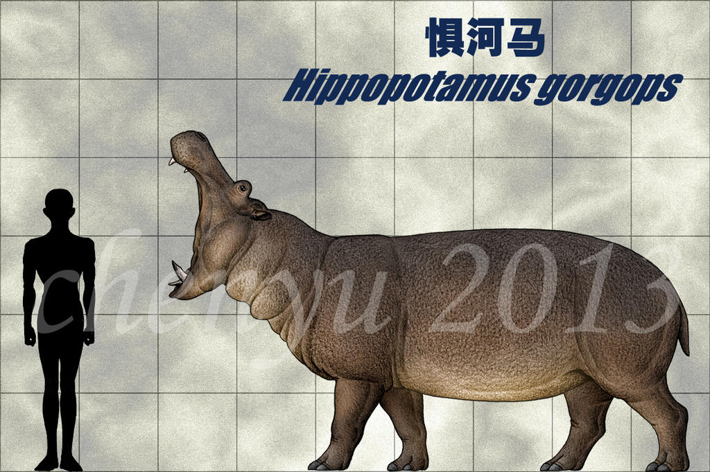 http://fc06.deviantart.net/fs71/i/2013/302/d/7/hippopotamus_gorgops_by_sinammonite-d6s8izp.jpg