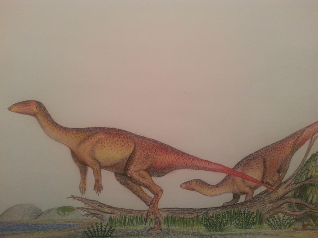 eousdryosaurus_nanohallucis_by_spinosaurus1-d814s64.jpg