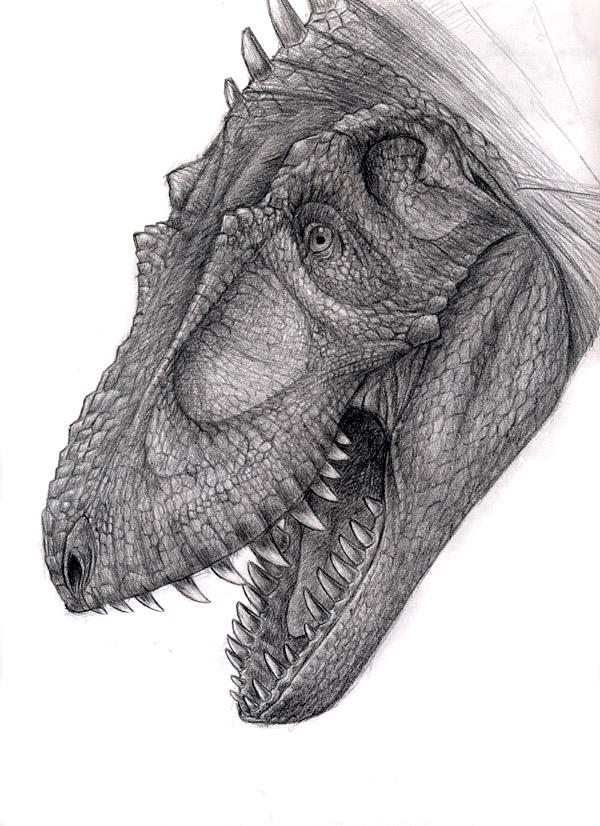 Daspletosaurus by yty2000