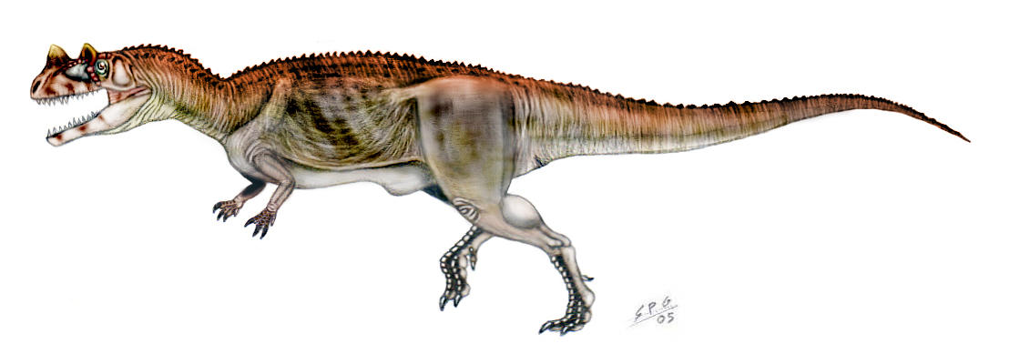 Ceratosaurus_nasicornis_by_unlobogris.jpg