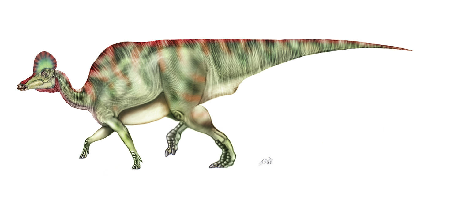 Corythosaurus_by_unlobogris.jpg