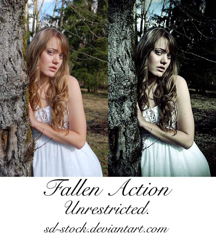 Photoshop Actions to Enhance your Photos