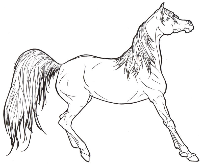 Realistic Horse Printable Coloring Pages 1