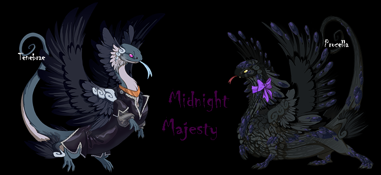 midnight_majesty_breeding_card_by_dysfunctional_h0rr0r-d7y94lj.png