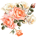 Jocelyne's roses by KmyGraphic