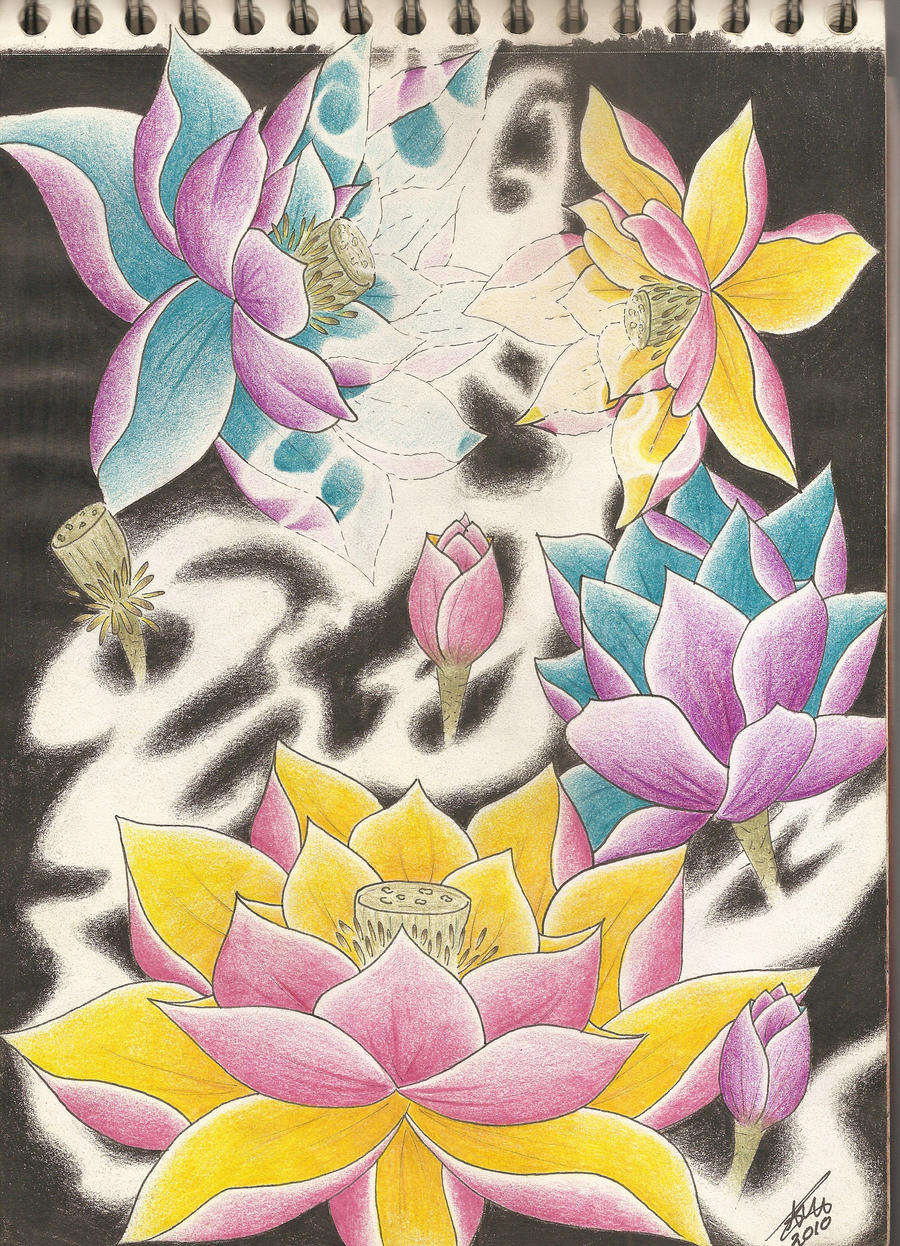 Lotus Flower Drawings by PurpleRiot on DeviantArt