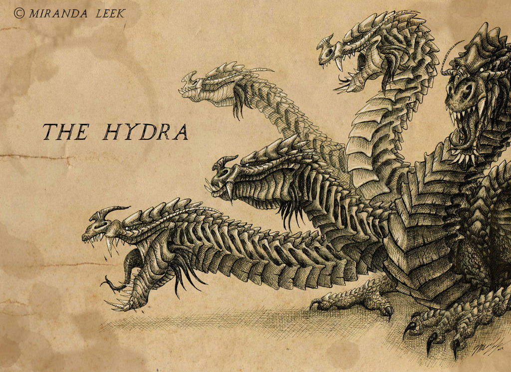 The Hydra by railrunnermiranda