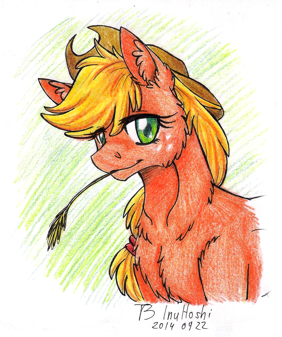 [Obrázek: cowgirl_by_inuhoshi_to_darkpen-d80gbeh.png]