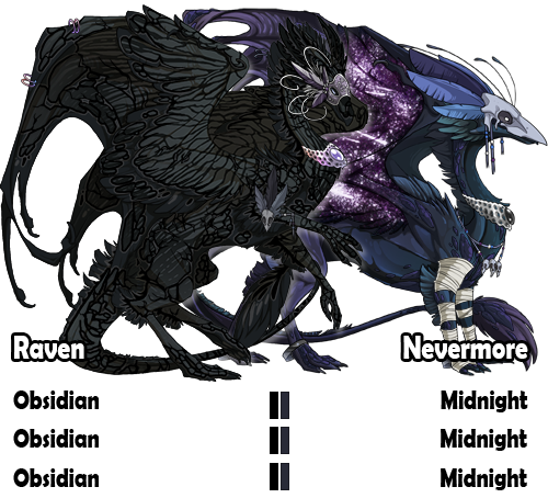 raven_and_nevermore_by_deestracted-d7rzevd.png