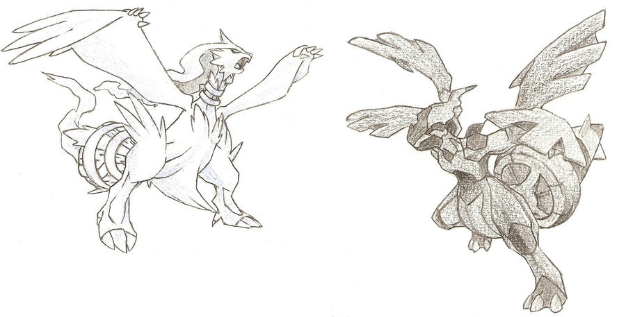 zekrom and reshiram coloring pages - photo #35