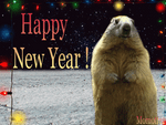 Happy New Year from marmots by Momotte2